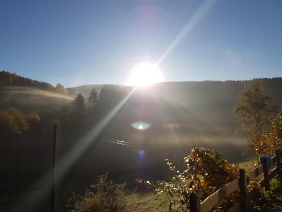Der Nesselbacher Schmallenberg Buitenkant foto